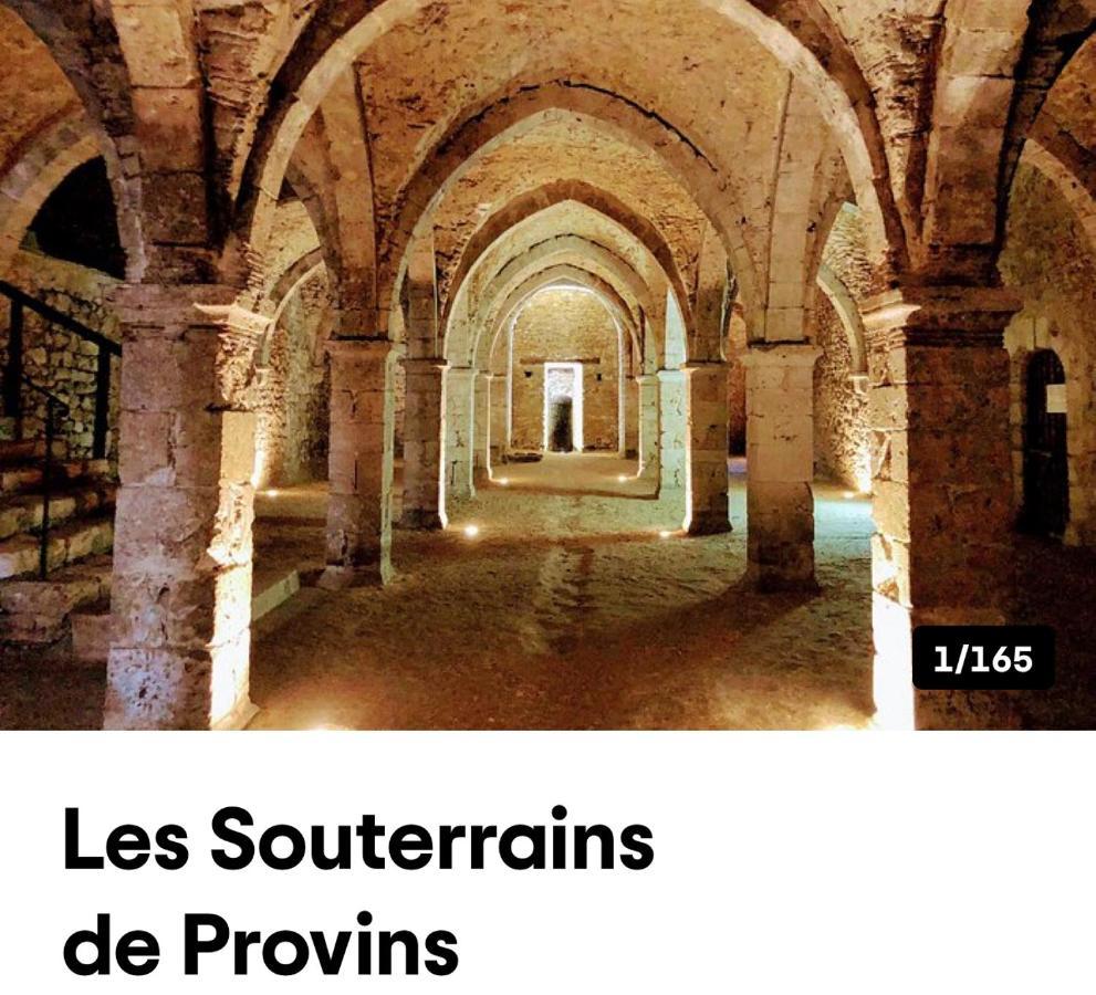 Harmonia Maison De Caractere Proche Provins Gouaix Zewnętrze zdjęcie